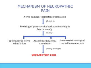 Pain pathway | PPTX