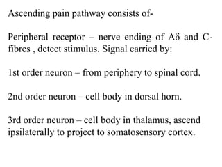 Ascending pain pathway consists of-
Peripheral receptor – nerve ending of Aδ and C-
fibres , detect stimulus. Signal carried by:
1st order neuron – from periphery to spinal cord.
2nd order neuron – cell body in dorsal horn.
3rd order neuron – cell body in thalamus, ascend
ipsilaterally to project to somatosensory cortex.
 