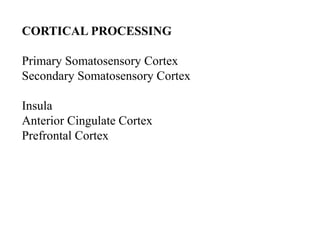 CORTICAL PROCESSING
Primary Somatosensory Cortex
Secondary Somatosensory Cortex
Insula
Anterior Cingulate Cortex
Prefrontal Cortex
 