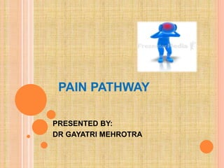 PAIN PATHWAY
PRESENTED BY:
DR GAYATRI MEHROTRA
 