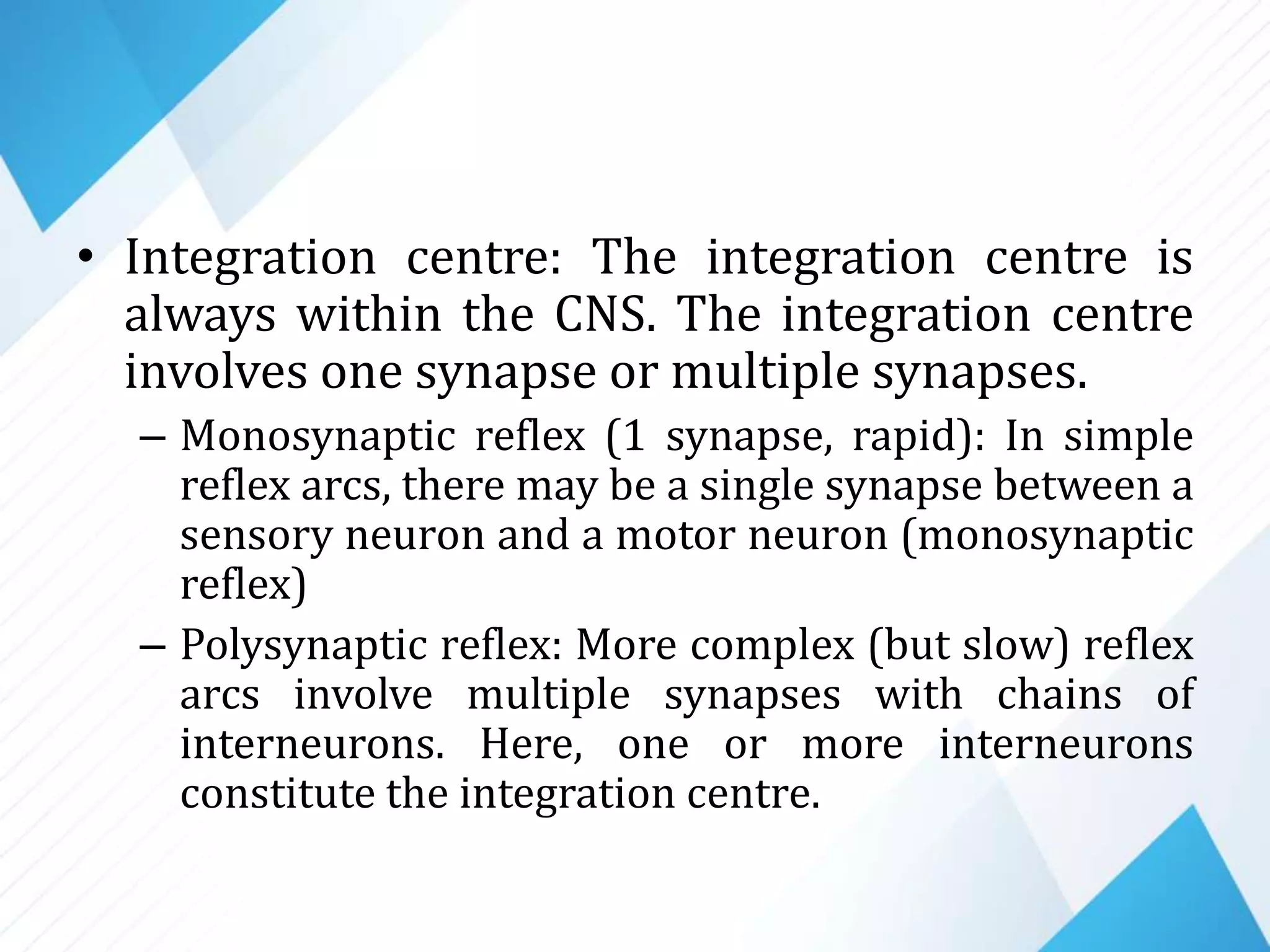 • Integration centre: The integration centre is
always within the CNS. The integration centre
involves one synapse or multiple synapses.
– Monosynaptic reflex (1 synapse, rapid): In simple
reflex arcs, there may be a single synapse between a
sensory neuron and a motor neuron (monosynaptic
reflex)
– Polysynaptic reflex: More complex (but slow) reflex
arcs involve multiple synapses with chains of
interneurons. Here, one or more interneurons
constitute the integration centre.
 
