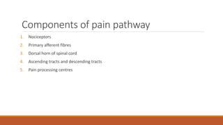 Components of pain pathway
1. Nociceptors
2. Primary afferent fibres
3. Dorsal horn of spinal cord
4. Ascending tracts and descending tracts
5. Pain processing centres
 