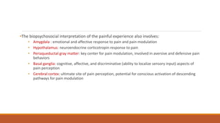 •The biopsychosocial interpretation of the painful experience also involves:
• Amygdala : emotional and affective response to pain and pain modulation
• Hypothalamus: neuroendocrine corticotropin response to pain
• Periaqueductal gray matter: key center for pain modulation, involved in aversive and defensive pain
behaviors
• Basal ganglia: cognitive, affective, and discriminative (ability to localize sensory input) aspects of
pain perception
• Cerebral cortex: ultimate site of pain perception, potential for conscious activation of descending
pathways for pain modulation
 