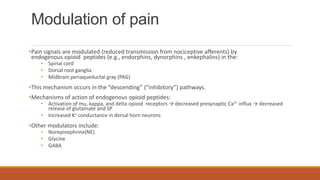 Modulation of pain
•Pain signals are modulated (reduced transmission from nociceptive afferents) by
endogenous opioid peptides (e.g., endorphins, dynorphins , enkephalins) in the:
• Spinal cord
• Dorsal root ganglia
• Midbrain periaqueductal gray (PAG)
•This mechanism occurs in the “descending” (“inhibitory”) pathways.
•Mechanisms of action of endogenous opioid peptides:
• Activation of mu, kappa, and delta opioid receptors → decreased presynaptic Ca2+ influx → decreased
release of glutamate and SP
• Increased K+ conductance in dorsal horn neurons
•Other modulators include:
• Norepinephrine(NE)
• Glycine
• GABA
 