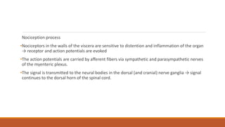 Nociception process
•Nociceptors in the walls of the viscera are sensitive to distention and inflammation of the organ
→ receptor and action potentials are evoked
•The action potentials are carried by afferent fibers via sympathetic and parasympathetic nerves
of the myenteric plexus.
•The signal is transmitted to the neural bodies in the dorsal (and cranial) nerve ganglia → signal
continues to the dorsal horn of the spinal cord.
 
