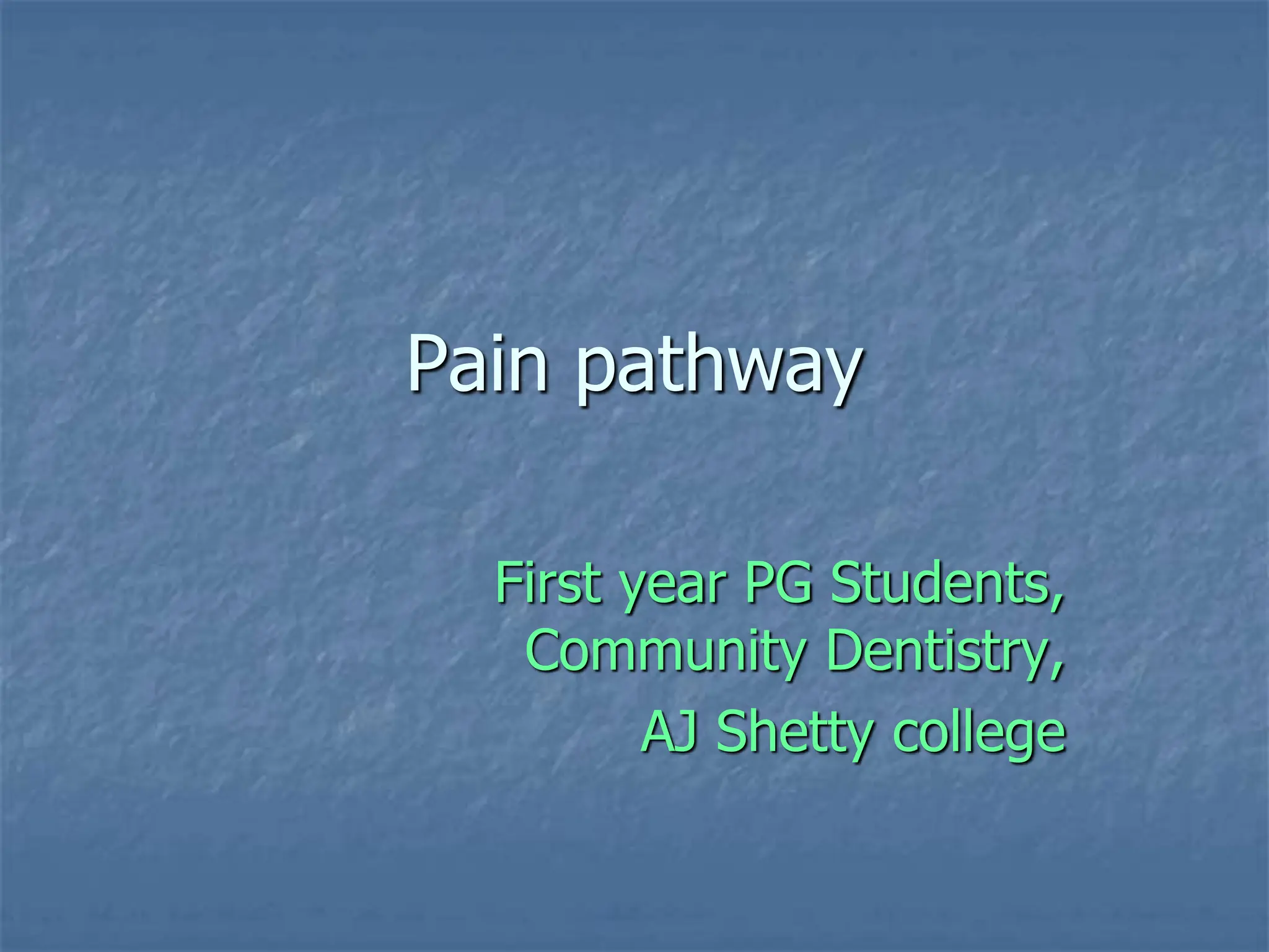 Neurons, Pain and Pain pathways (Physiology) | PPT