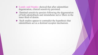  Lundy and Stanley showed that after odontoblast
degeneration, clinical sensitivity persisted.
 Dentinal sensitivity persists following the degeneration
of both odontoblasts and intratubular nerve fibers in the
inner third of dentin.
 Such studies appear to contradict the hypothesis that
odontoblasts act as a dentinal receptor mechanism.
 