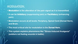 Comprehensive Overview of Pain Pathways and Chronic Pain Mechanisms | PPTX
