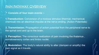 Comprehensive Overview of Pain Pathways and Chronic Pain Mechanisms | PPTX