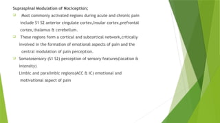 Supraspinal Modulation PAIN PATHWAY ppttt final 28.pptx details of different pathway | PPTX