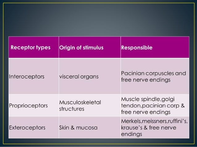 Pain pathways Biology Diagrams