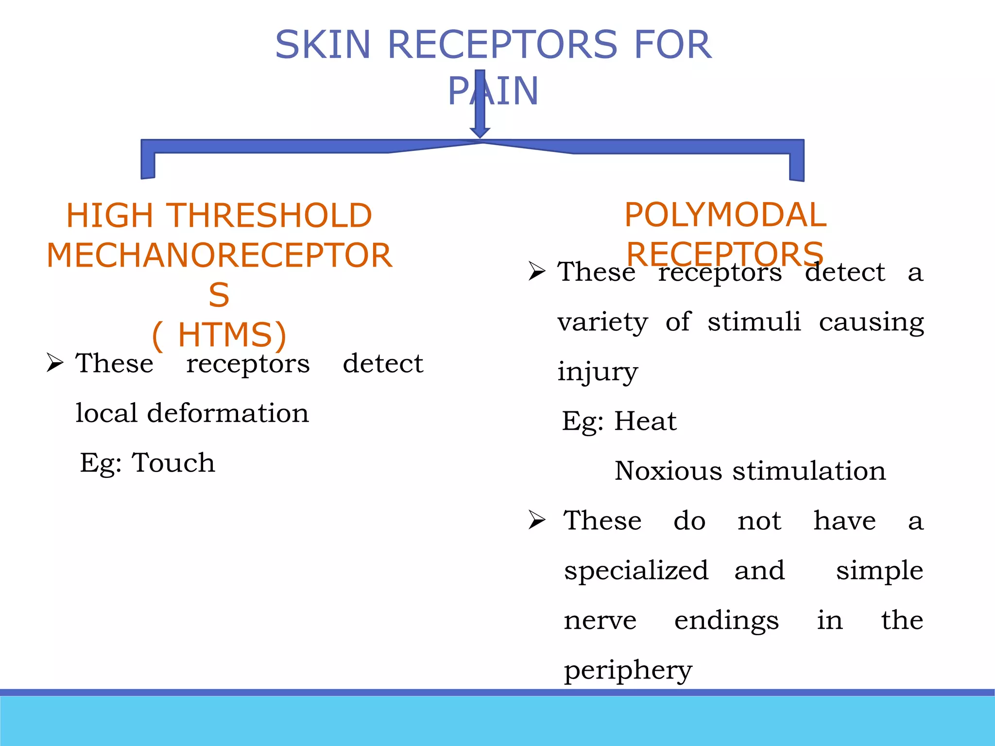 Pain pathways Biology Diagrams