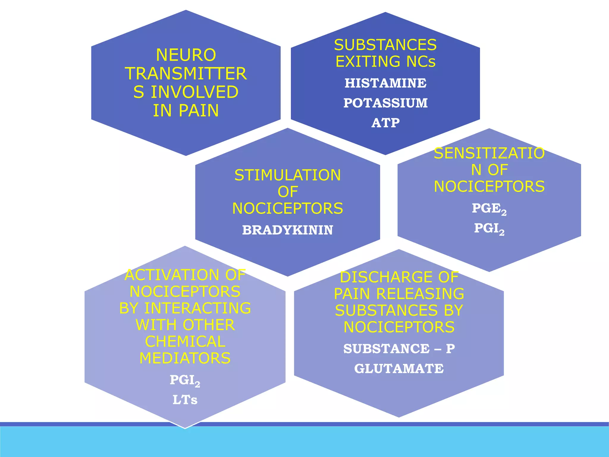 Pain pathways Biology Diagrams