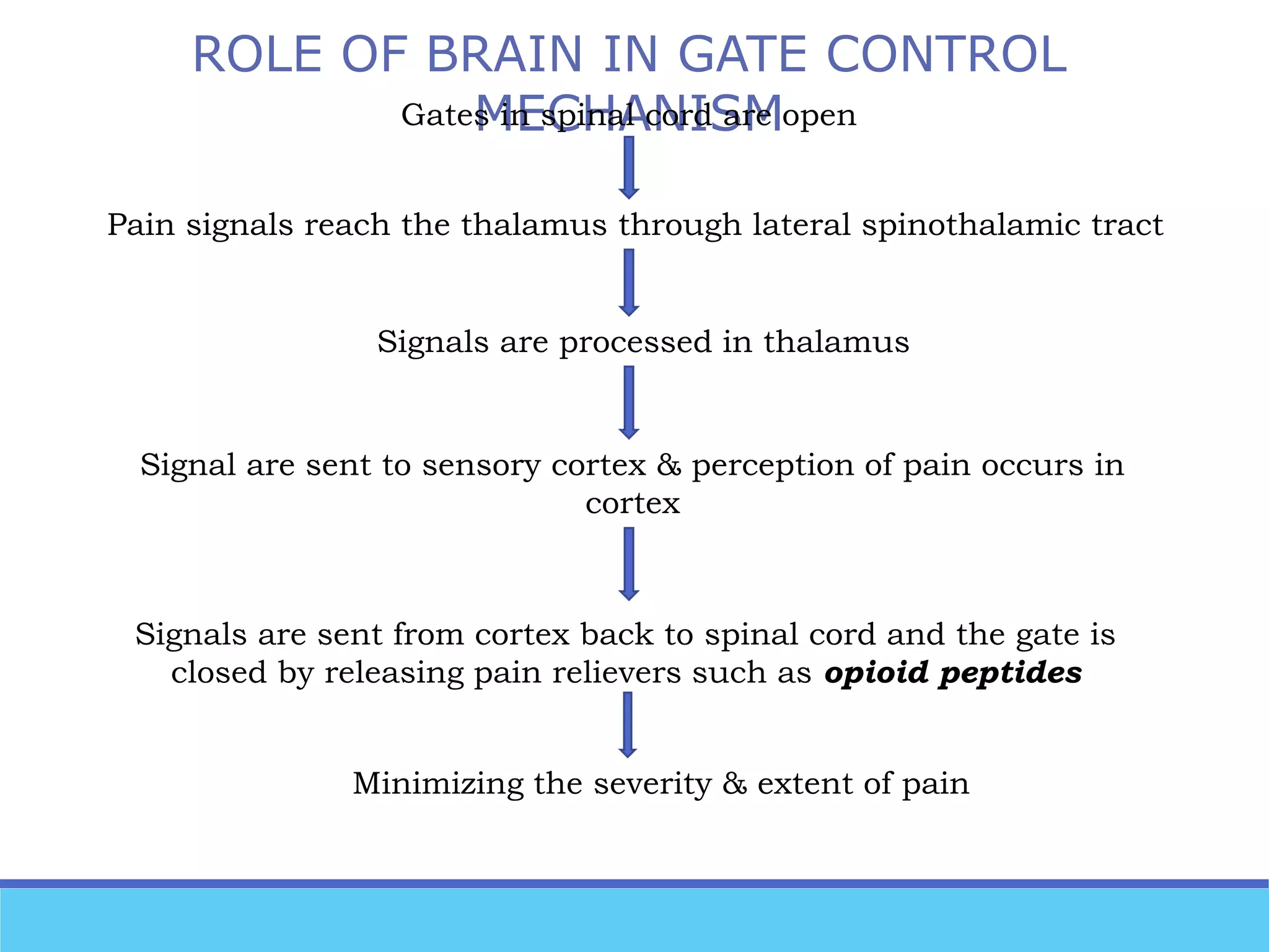 Pain pathways Biology Diagrams