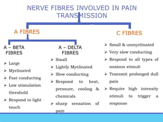 NERVE FIBRES INVOLVED IN PAIN
TRANSMISSION
A FIBRES C FIBRES
A – BETA
FIBRES
A – DELTA
FIBRES
 Large
 Myelinated
 Fast conducting
 Low stimulation
threshold
 Respond to light
touch
 Small
 Lightly Myelinated
 Slow conducting
 Respond to heat,
pressure, cooling &
chemicals
 sharp sensation of
pain
 Small & unmyelinated
 Very slow conducting
 Respond to all types of
noxious stimuli
 Transmit prolonged dull
pain
 Require high intensity
stimuli to trigger a
response
 