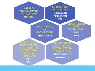 SUBSTANCES
EXITING NCs
HISTAMINE
POTASSIUM
ATP
NEURO
TRANSMITTER
S INVOLVED
IN PAIN
STIMULATION
OF
NOCICEPTORS
BRADYKININ
SENSITIZATIO
N OF
NOCICEPTORS
PGE2
PGI2
DISCHARGE OF
PAIN RELEASING
SUBSTANCES BY
NOCICEPTORS
SUBSTANCE – P
GLUTAMATE
ACTIVATION OF
NOCICEPTORS
BY INTERACTING
WITH OTHER
CHEMICAL
MEDIATORS
PGI2
LTs
 