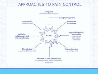 APPROACHES TO PAIN CONTROL
 