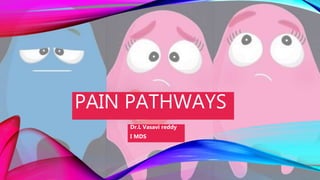 PAIN PATHWAYS
Dr.L Vasavi reddy
I MDS
 