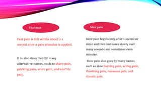 Pain pathways | PPTX | Brain and Nervous System Disorders | Diseases ...