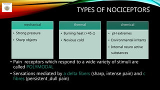 TYPES OF NOCICEPTORS
• Pain receptors which respond to a wide variety of stimuli are
called POLYMODAL
• Sensations mediated by a delta fibers (sharp, intense pain) and c
fibres (persistent ,dull pain)
34
mechanical
• Strong pressure
• Sharp objects
thermal
• Burning heat (>45 c)
• Noxious cold
chemical
• pH extremes
• Environmental irritants
• Internal neuro active
substances
 