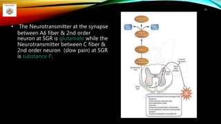 • The Neurotransmitter at the synapse
between Aδ fiber & 2nd order
neuron at SGR is glutamate while the
Neurotransmitter between C fiber &
2nd order neuron (slow pain) at SGR
is substance P.
53
 