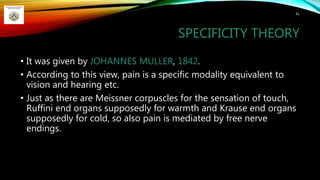 SPECIFICITY THEORY
• It was given by JOHANNES MULLER, 1842.
• According to this view, pain is a specific modality equivalent to
vision and hearing etc.
• Just as there are Meissner corpuscles for the sensation of touch,
Ruffini end organs supposedly for warmth and Krause end organs
supposedly for cold, so also pain is mediated by free nerve
endings.
61
 