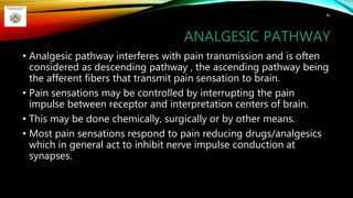 ANALGESIC PATHWAY
81
• Analgesic pathway interferes with pain transmission and is often
considered as descending pathway , the ascending pathway being
the afferent fibers that transmit pain sensation to brain.
• Pain sensations may be controlled by interrupting the pain
impulse between receptor and interpretation centers of brain.
• This may be done chemically, surgically or by other means.
• Most pain sensations respond to pain reducing drugs/analgesics
which in general act to inhibit nerve impulse conduction at
synapses.
 