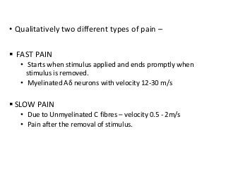 Pain pathways during labour | PPTX