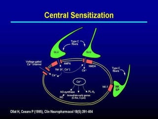 PATHOPHYSIOLOGY AND MANAGEMEMENT OF PAIN | PPTX