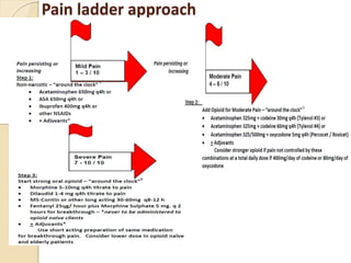 PATHOPHYSIOLOGY AND MANAGEMEMENT OF PAIN | PPTX