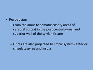 • Perception:
– From thalamus to somatosensory areas of
cerebral cortex( in the post central gyrus) and
superior wall of the sylvian fissure
– Fibres are also projected to limbic system- anterior
cingulate gyrus and insula
 