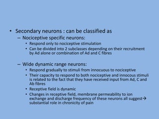 • Secondary neurons : can be classified as
– Nociceptive specific neurons:
• Respond only to nociceptive stimulation
• Can be divided into 2 subclasses depending on their recruitment
by Ad alone or combination of Ad and C fibres
– Wide dynamic range neurons:
• Respond gradually to stimuli from innocuous to nociceptive
• Their capacity to respond to both nociceptive and innocous stimuli
is related to the fact that they have received input from Ad, C and
Ab fibres
• Receptive field is dynamic
• Changes in receptive field, membrane permeability to ion
exchange and discharge frequency of these neurons all suggest
substantial role in chronicity of pain
 