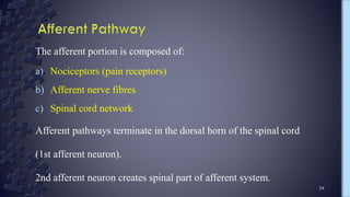 Pain physiology_ neeha | PPTX