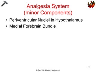 Pain physiology 2019 20 - ii | PPT
