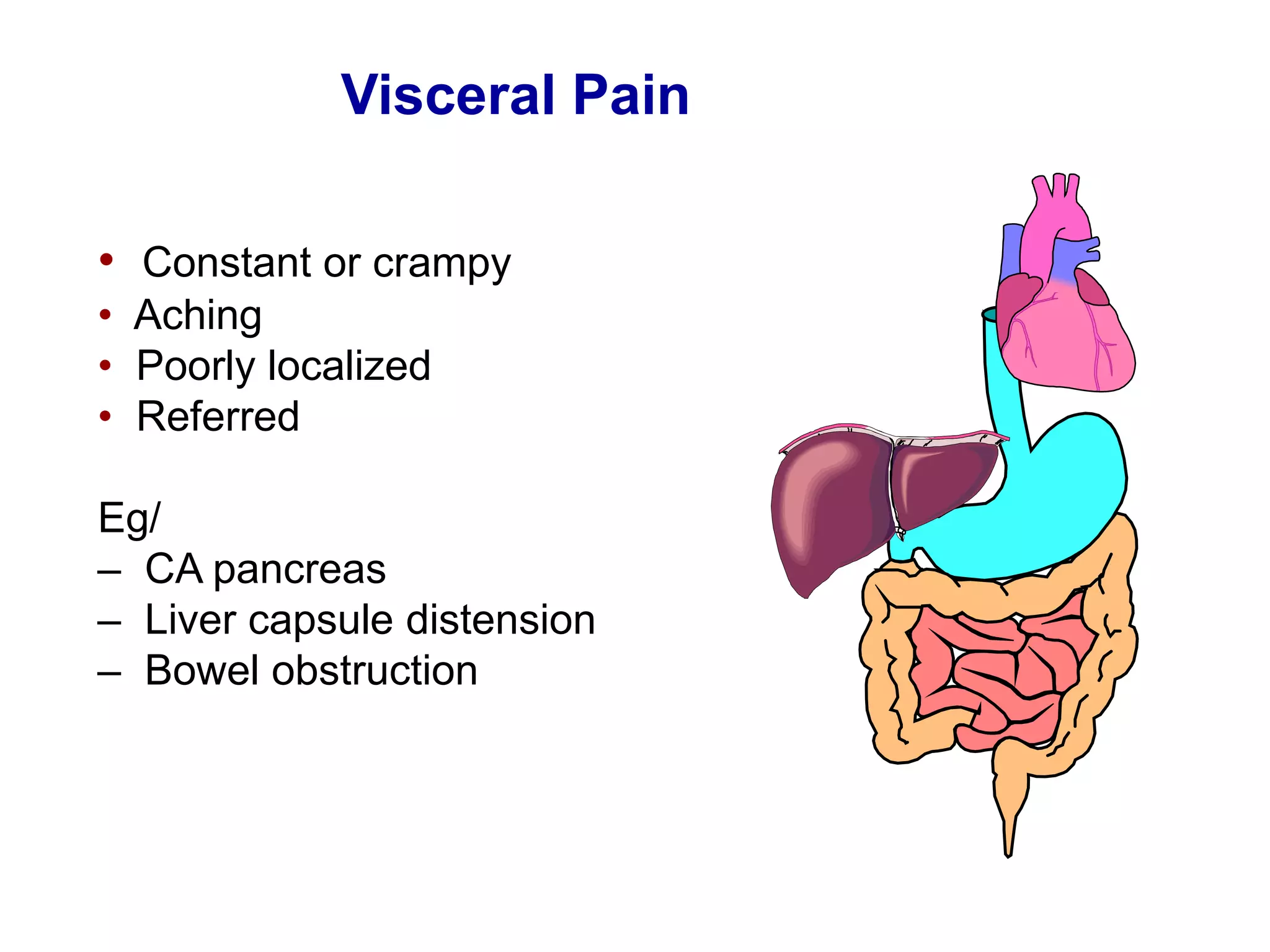 Visceral Pain
• Constant or crampy
• Aching
• Poorly localized
• Referred
Eg/
– CA pancreas
– Liver capsule distension
– Bowel obstruction
 