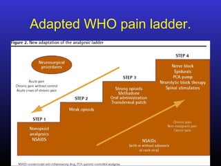 Adapted WHO pain ladder.
 