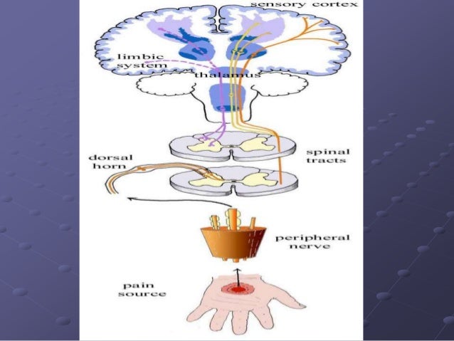 Piroxicam For Nerve Pain