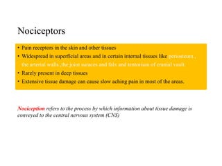 Nociceptors
• Pain receptors in the skin and other tissues
• Widespread in superficial areas and in certain internal tissues like periosteum ,
the arterial walls ,the joint suraces and falx and tentorium of cranial vault.
• Rarely present in deep tissues
• Extensive tissue damage can cause slow aching pain in most of the areas.
Nociception refers to the process by which information about tissue damage is
conveyed to the central nervous system (CNS)
 