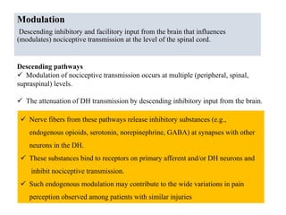 Modulation
Descending inhibitory and facilitory input from the brain that influences
(modulates) nociceptive transmission at the level of the spinal cord.
Descending pathways
 Modulation of nociceptive transmission occurs at multiple (peripheral, spinal,
supraspinal) levels.
 The attenuation of DH transmission by descending inhibitory input from the brain.
 Inhibitory and Facilitatory Descending Pathways. Nerve fibers from these pathways release inhibitory substances (e.g.,
endogenous opioids, serotonin, norepinephrine, GABA) at synapses with other
neurons in the DH.
 These substances bind to receptors on primary afferent and/or DH neurons and
inhibit nociceptive transmission.
 Such endogenous modulation may contribute to the wide variations in pain
perception observed among patients with similar injuries
 