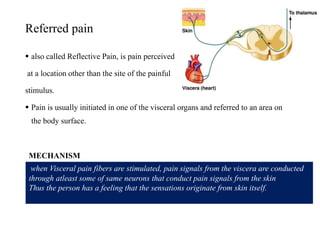 Referred pain
 also called Reflective Pain, is pain perceived
at a location other than the site of the painful
stimulus.
 Pain is usually initiated in one of the visceral organs and referred to an area on
the body surface.
MECHANISM
when Visceral pain fibers are stimulated, pain signals from the viscera are conducted
through atleast some of same neurons that conduct pain signals from the skin
Thus the person has a feeling that the sensations originate from skin itself.
 