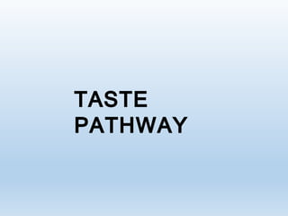 TASTE
PATHWAY
 