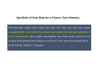 Microelectrode studies from single taste buds show that each taste bud usually
responds mostly to one of the five primary taste stimuli when the taste substance is
in low concentration. But at high concentration, most buds can be excited by two
or more of the primary taste stimuli, as well as by a few other taste stimuli that do
not fit into the “primary” categories.
Specificity of Taste Buds for a Primary Taste Stimulus.
 