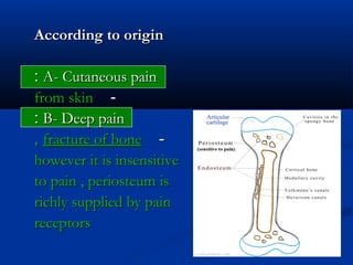 According to originAccording to origin
A- Cutaneous painA- Cutaneous pain::
--from skinfrom skin
B- Deep painB- Deep pain::
--fracture of bonefracture of bone,,
however it is insensitivehowever it is insensitive
to pain , periosteum isto pain , periosteum is
richly supplied by painrichly supplied by pain
receptorsreceptors
 