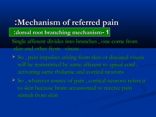 Mechanism of referred painMechanism of referred pain::
11--dorsal root branching mechanismdorsal root branching mechanism::
Single afferent divides into branches , one come fromSingle afferent divides into branches , one come from
skin and other from viscusskin and other from viscus
 So , pain impulses arising from skin or diseased viscusSo , pain impulses arising from skin or diseased viscus
will be transmitted by same afferent to spinal cord ,will be transmitted by same afferent to spinal cord ,
activating same thalamic and cortical neuronsactivating same thalamic and cortical neurons
 So , whatever source of pain , cortical neurons refers itSo , whatever source of pain , cortical neurons refers it
to skin because brain accustomed to receive painto skin because brain accustomed to receive pain
stimuli from skinstimuli from skin
 