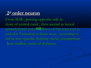 22ndnd
order neuronorder neuron
From SGR , passing opposite side inFrom SGR , passing opposite side in
front of central canal , then ascend as lateralfront of central canal , then ascend as lateral
spinothalamic tract fibers of this tract end inspinothalamic tract fibers of this tract end in
reticular formation in brain stem , ascending toreticular formation in brain stem , ascending to
enf in non-specific thalamic nuclei (intralaminarenf in non-specific thalamic nuclei (intralaminar
and midline nuclei of thalamusand midline nuclei of thalamus((
 