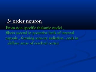 33rdrd
order neuronorder neuron
From non specific thalamic nuclei ,From non specific thalamic nuclei ,
fibers ascend in posterior limb of internalfibers ascend in posterior limb of internal
capsule , forming sensory radiation , ends incapsule , forming sensory radiation , ends in
diffuse areas of cerebral cortexdiffuse areas of cerebral cortex..
 