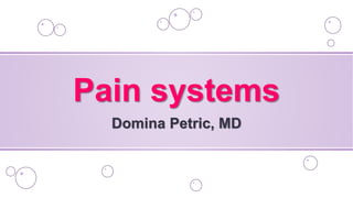 Domina Petric, MD
Pain systems
 