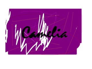 Escrivim el nostre nom