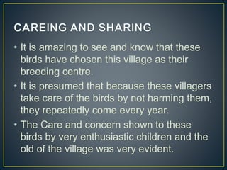 • It is amazing to see and know that these
birds have chosen this village as their
breeding centre.
• It is presumed that ...