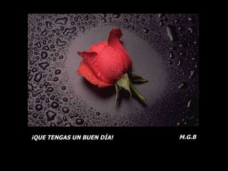 ¡QUE TENGAS UN BUEN DÍA! M.G.B 
